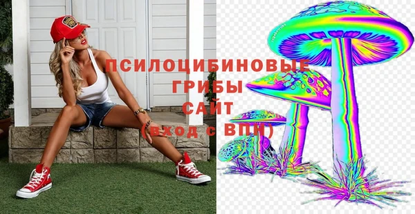 бошки Алзамай