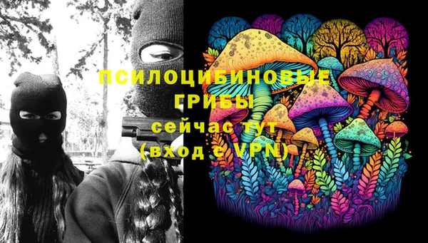 PSILOCYBIN Алексин